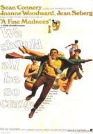 A Fine Madness