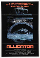 Alligator