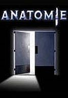 Anatomy