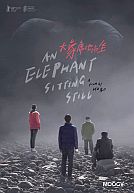 An Elephant Sitting Still