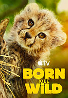Born to be Wild 2025 poster