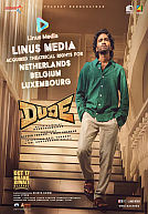 Dude poster
