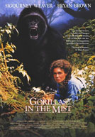 Gorillas In The Mist