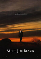 Meet Joe Black