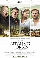 Out Stealing Horses