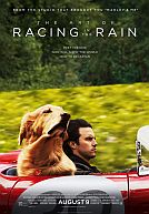 The Art Of Racing in the Rain