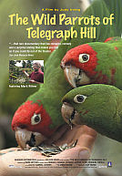 The Wild Parrots of Telegraph Hill poster