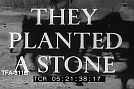 They Planted a Stone