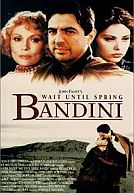 Wait Until Spring Bandini