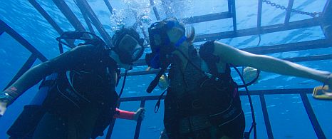 47 Meters Down