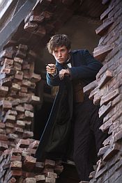 Fantastic Beasts and Where to Find Them
