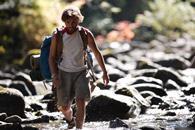 Into the Wild