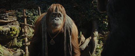 Kingdom of the Planet of the Apes