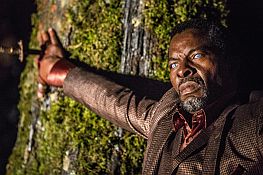 The Last Witch Hunter