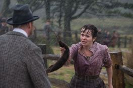 War Horse