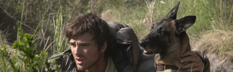 The Dog Stars
