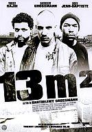 13m²