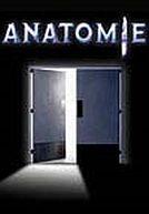 Anatomy