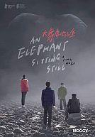 An Elephant Sitting Still