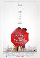 A Rainy Day in New York