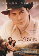 A Walk In The Clouds