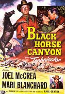 Black Horse Canyon poster
