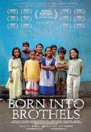 Born into Brothels (DVD)