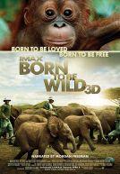 Born To Be Wild