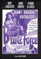 Brute Force
