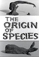 Clay or the origin of species