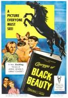 Courage of Black Beauty poster