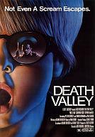 Death Valley poster