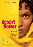 Desert Flower