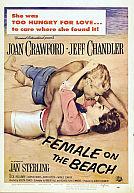 Female on the Beach poster