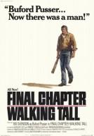 Final Chapter: Walking Tall poster