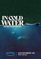 In Cold Water: The Shelter Bay Mystery poster