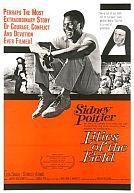 Lilies of the Field poster