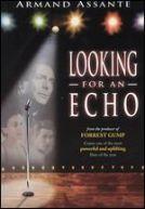 Looking For An Echo