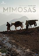 Mimosas