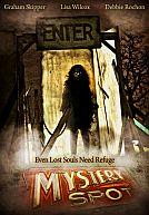 Mystery Spot poster