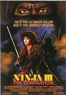 Ninja III : The Domination
