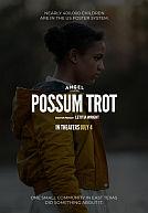 Sound of Hope: The Story of Possum Trot poster