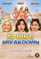Spring Breakdown