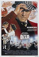 The Bear