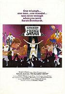 The Incredible Sarah poster