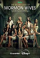 The Secret Lives of Mormon Wives - seizoen 3 poster