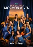 The Secret Lives of Mormon Wives - seizoen 4 poster