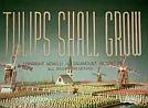 Tulips Shall Grow