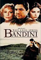 Wait Until Spring Bandini