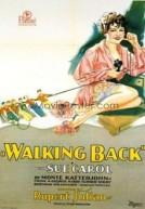 Walking Back poster